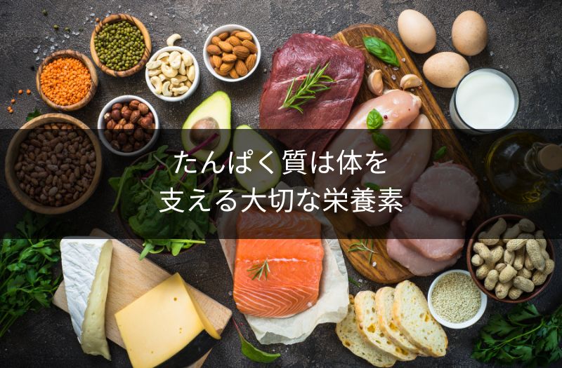 たんぱく質を多く含む食品（肉・魚・卵・豆類・乳製品）